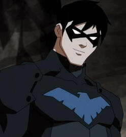 Animations (NIGHTWING)